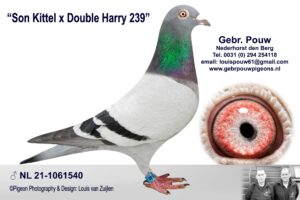 Son Kittel x Double Harry 239