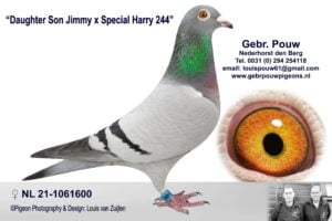 Daughter Son Jimmy x Special Harry 244